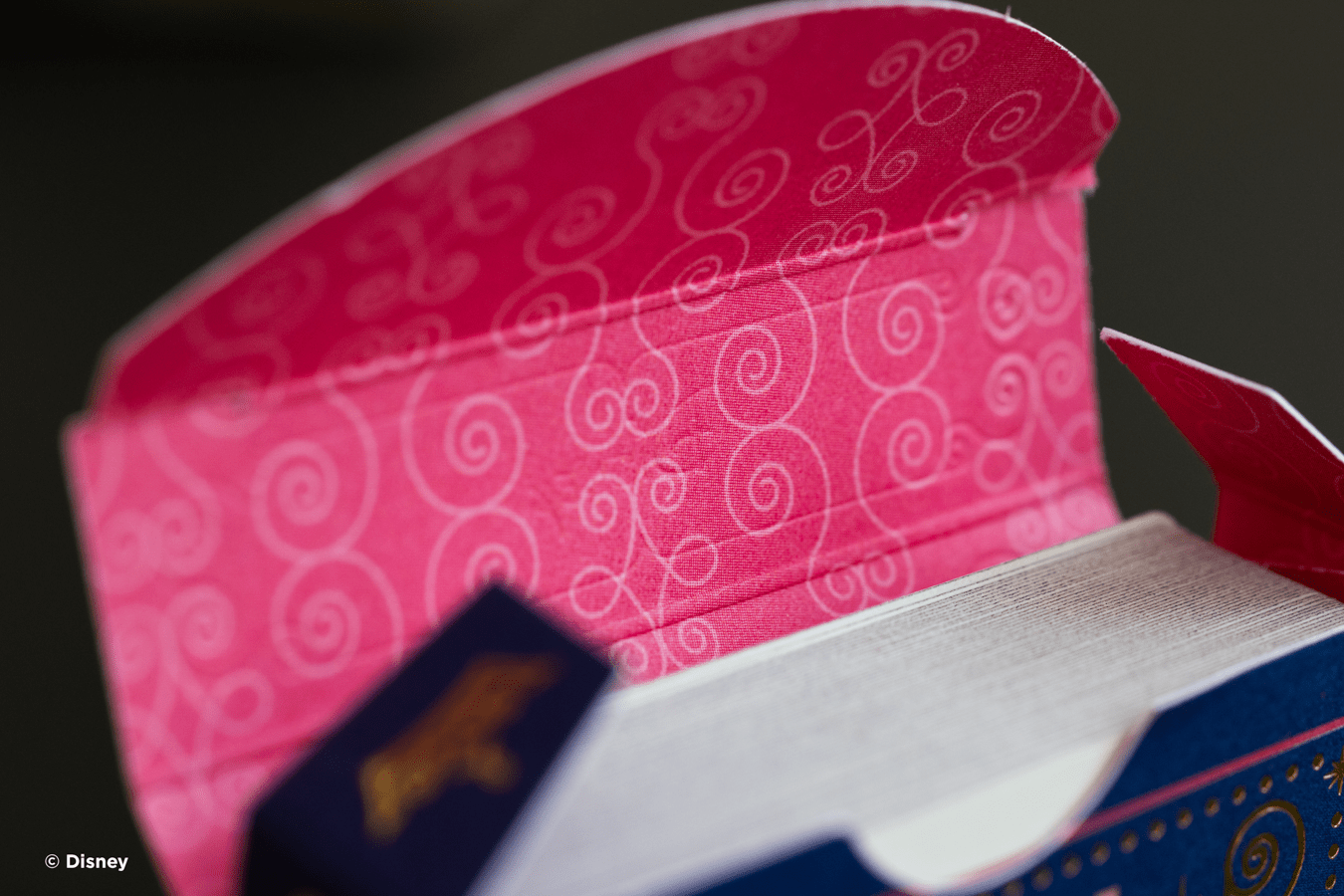 Disney Princess Navy Cards