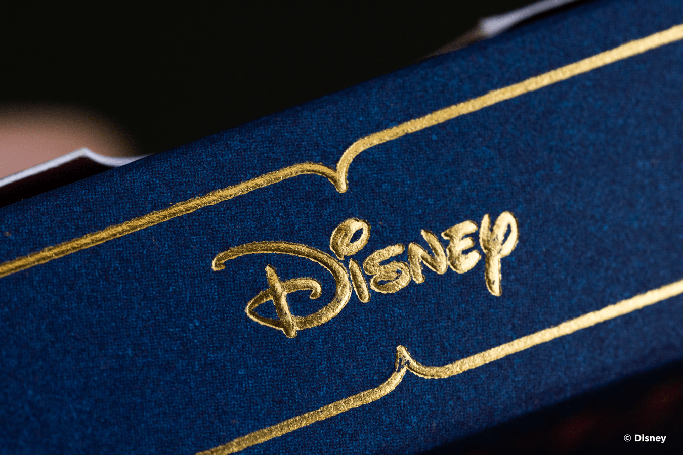 Disney Princess Navy Cards