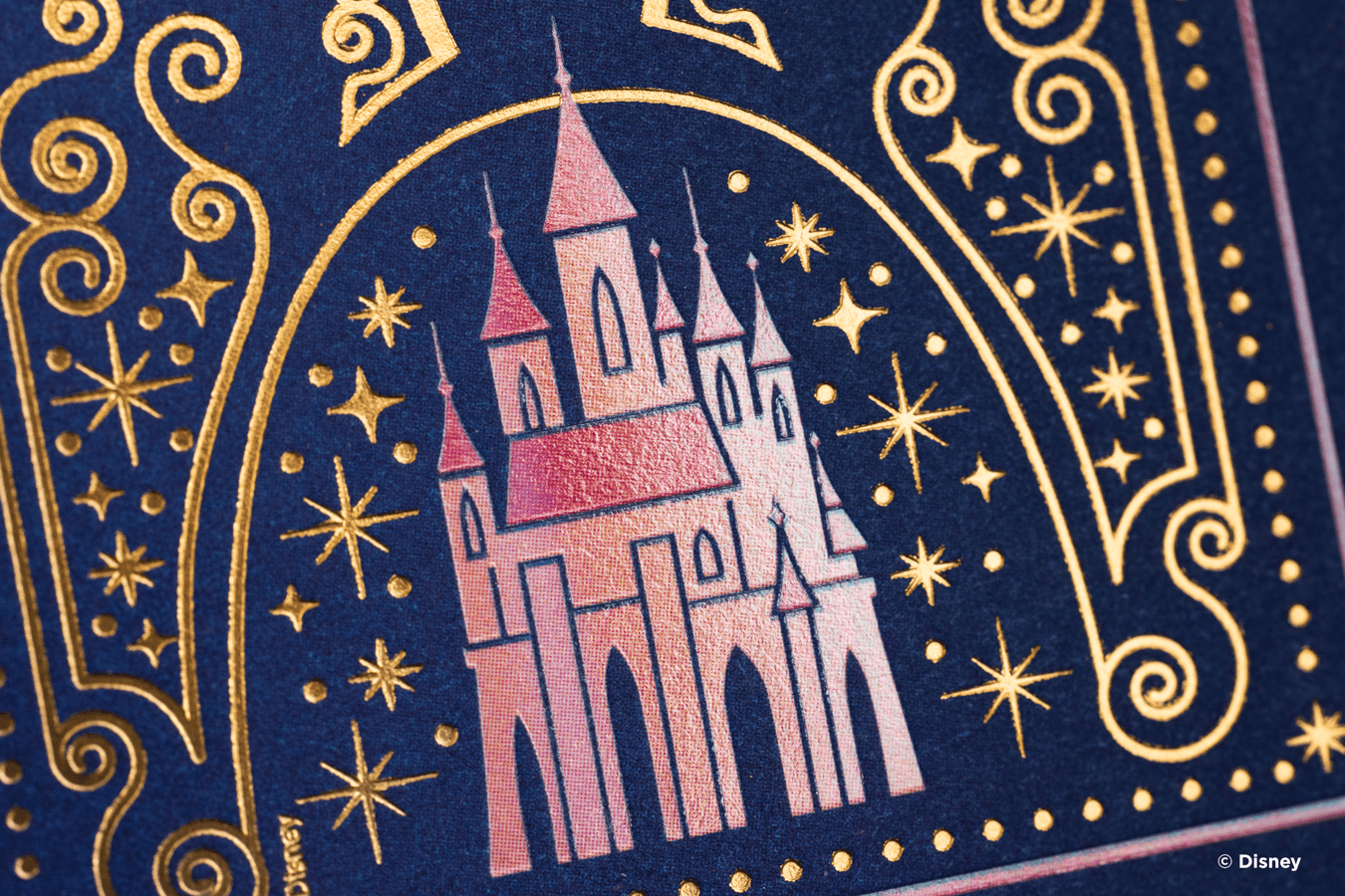 Disney Princess Navy Cards